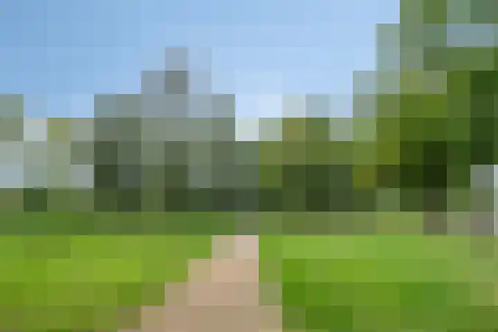 Herman Gorterlaan 169 Eindhoven thumbnail 32