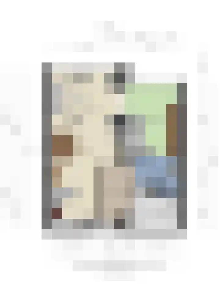 Herman Gorterlaan 169 Eindhoven thumbnail 33
