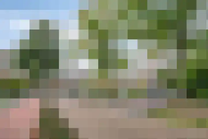 Herman Gorterlaan 169 Eindhoven thumbnail 4