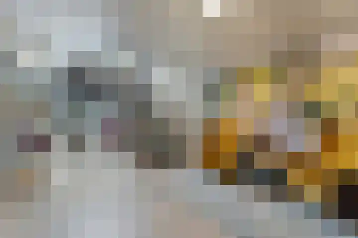 Herman Gorterlaan 209 Eindhoven thumbnail 10