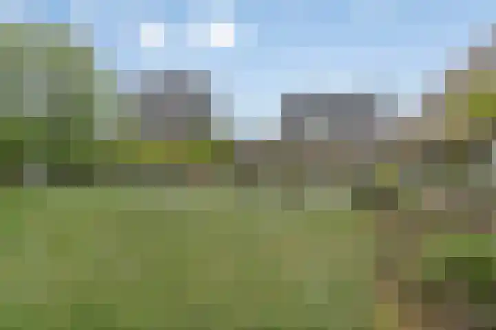 Herman Gorterlaan 209 Eindhoven thumbnail 13