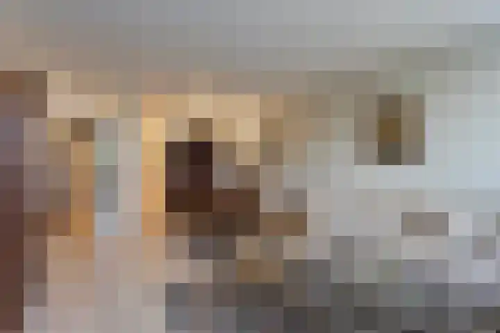 Herman Gorterlaan 209 Eindhoven thumbnail 17