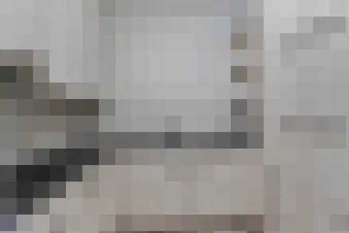 Herman Gorterlaan 209 Eindhoven thumbnail 20