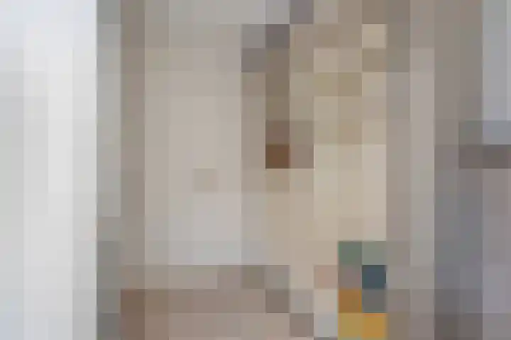 Herman Gorterlaan 209 Eindhoven thumbnail 24