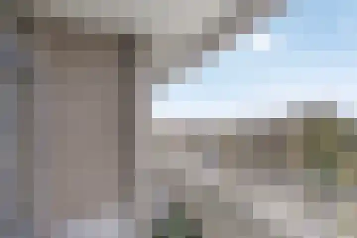 Herman Gorterlaan 209 Eindhoven thumbnail 25