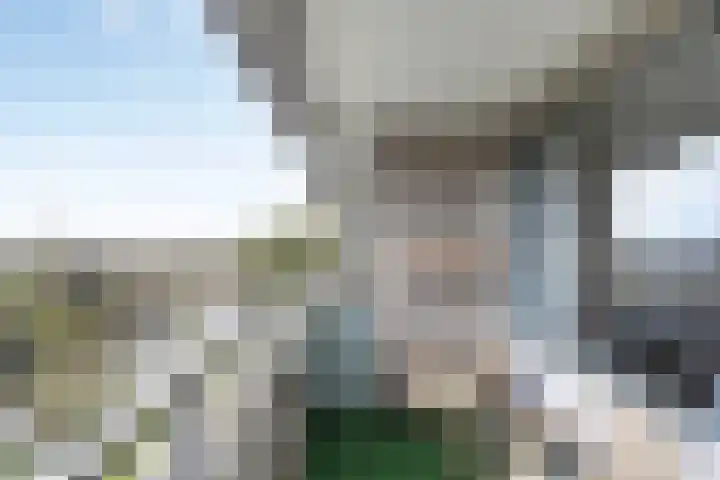 Herman Gorterlaan 209 Eindhoven thumbnail 26