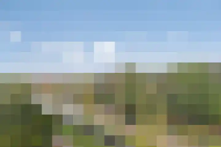 Herman Gorterlaan 209 Eindhoven thumbnail 27