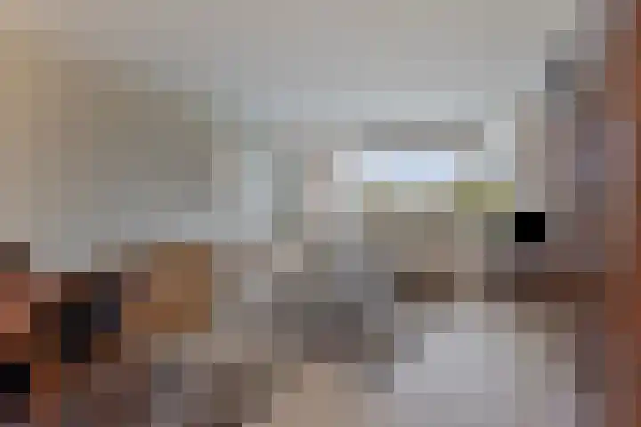 Herman Gorterlaan 209 Eindhoven thumbnail 30