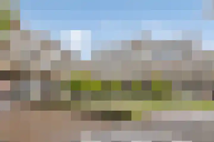 Herman Gorterlaan 209 Eindhoven thumbnail 6