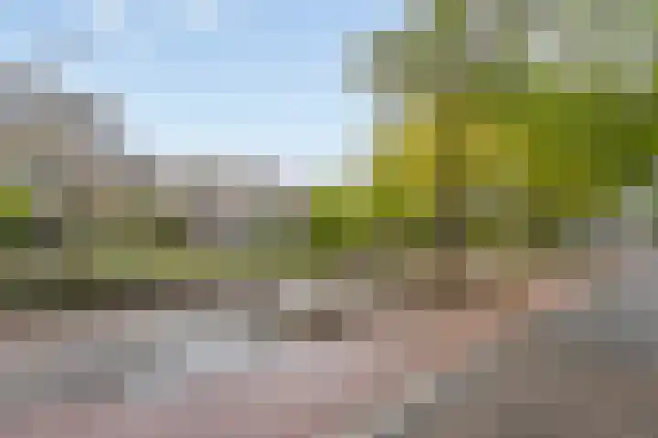 Herman Gorterlaan 209 Eindhoven thumbnail 7
