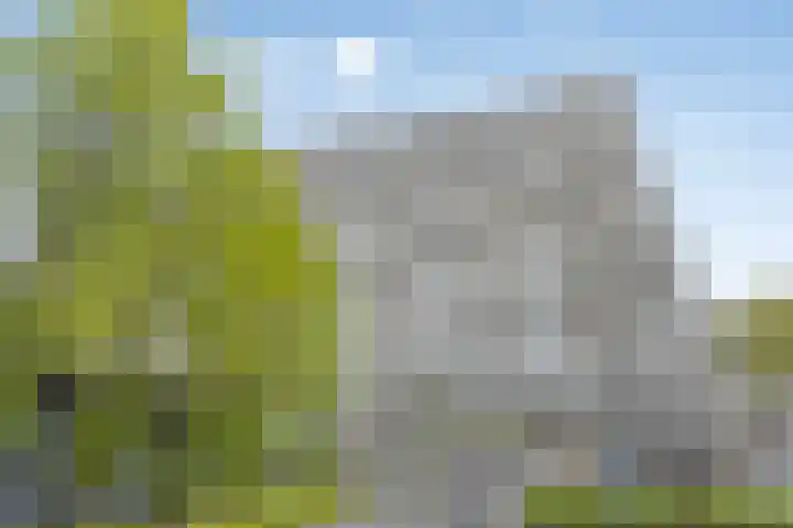 Herman Gorterlaan 209 Eindhoven thumbnail 8