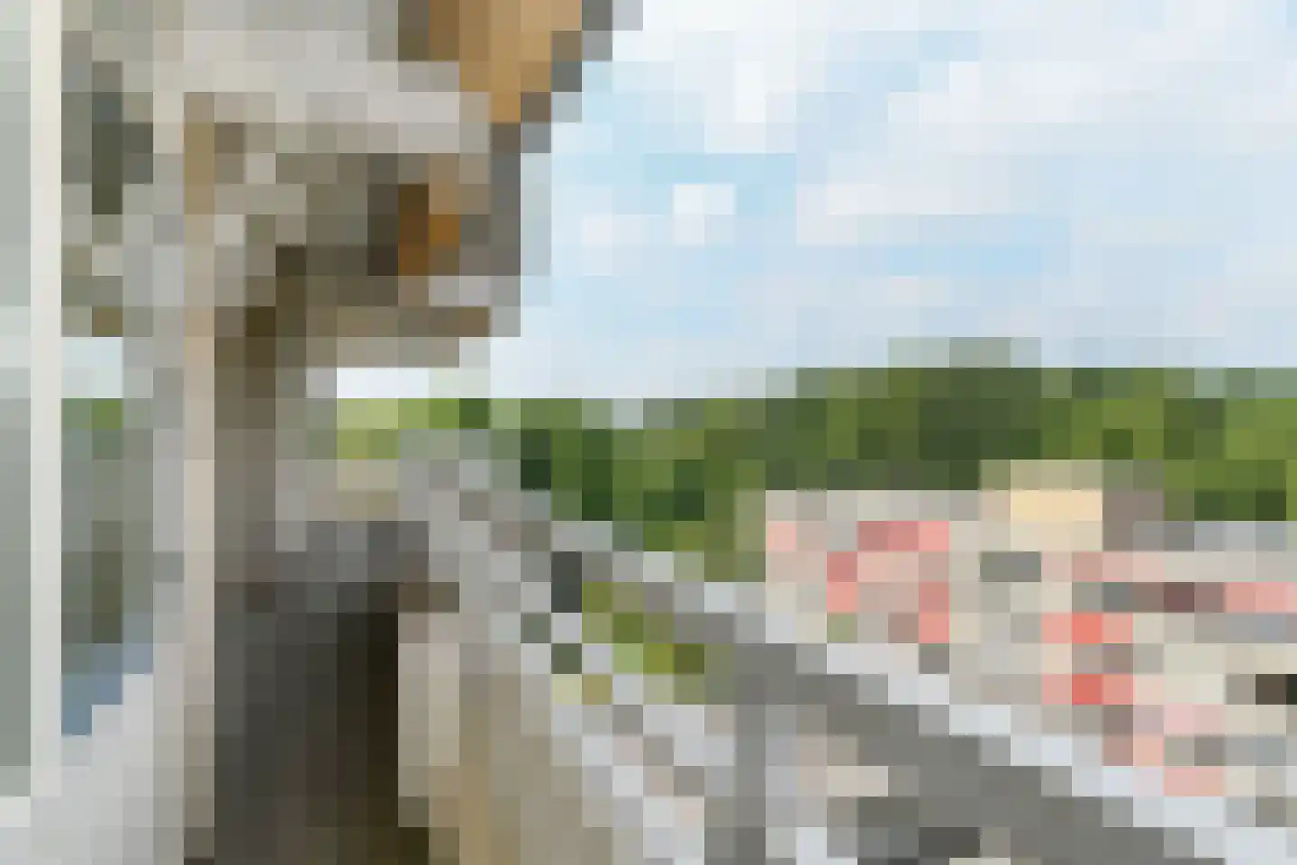 Herman Gorterlaan 229 Eindhoven thumbnail 31