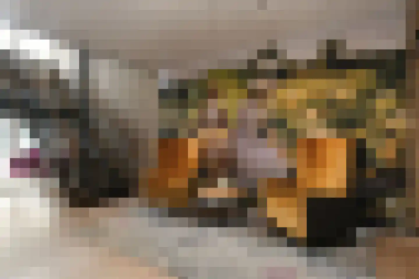 Herman Gorterlaan 229 Eindhoven thumbnail 6