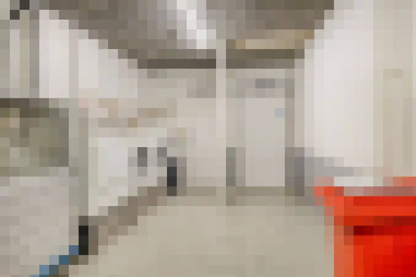 Herman Gorterlaan 255 Eindhoven thumbnail 20
