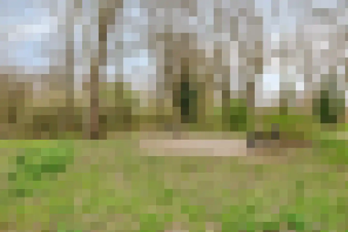 Herman Gorterlaan 255 Eindhoven thumbnail 21