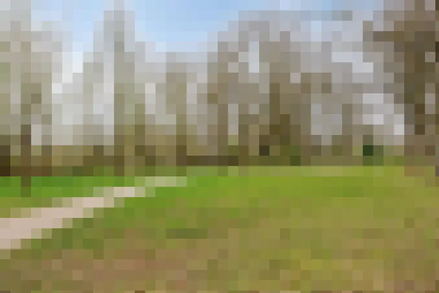 Herman Gorterlaan 255 Eindhoven thumbnail 22