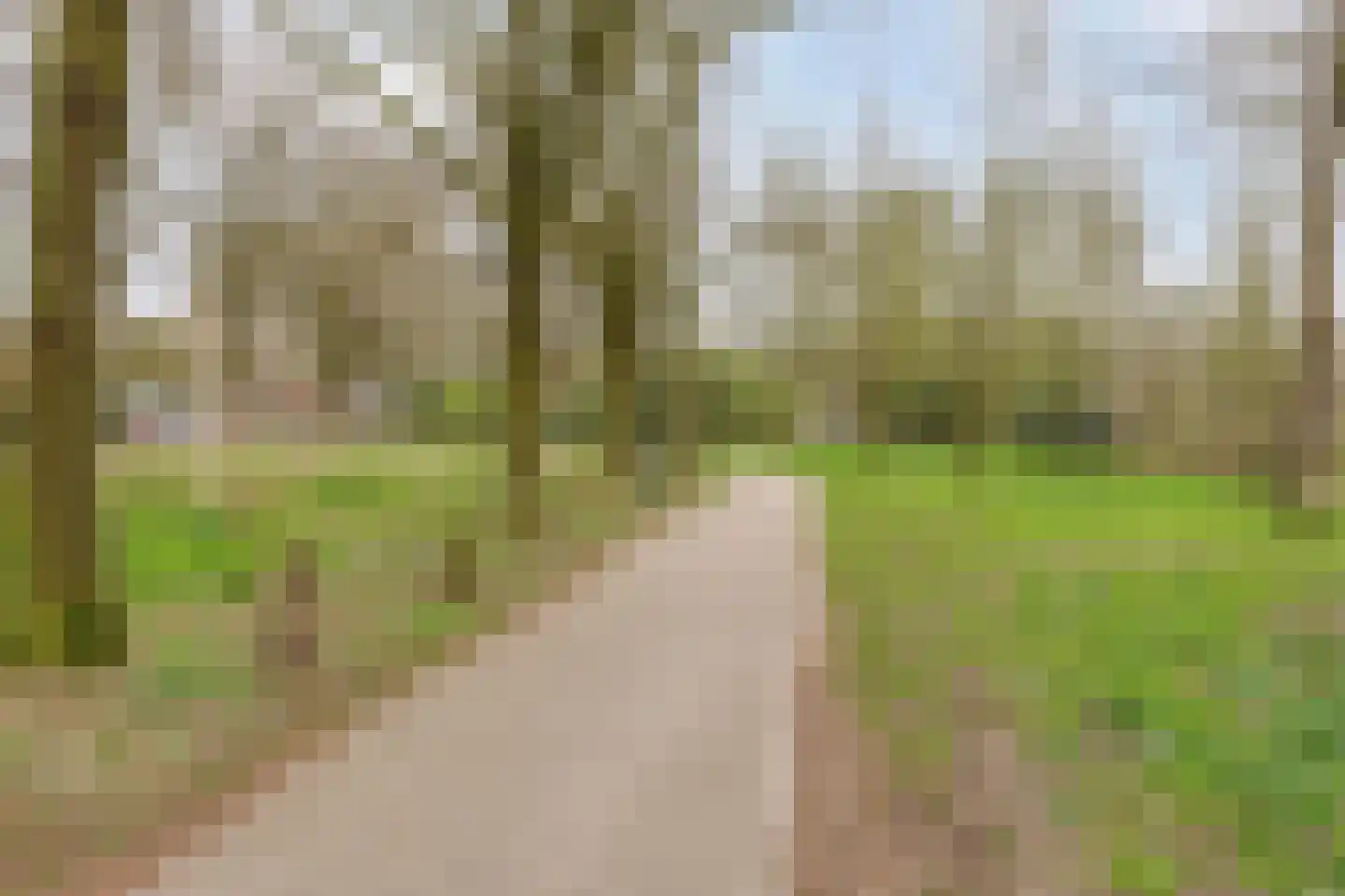 Herman Gorterlaan 255 Eindhoven thumbnail 23