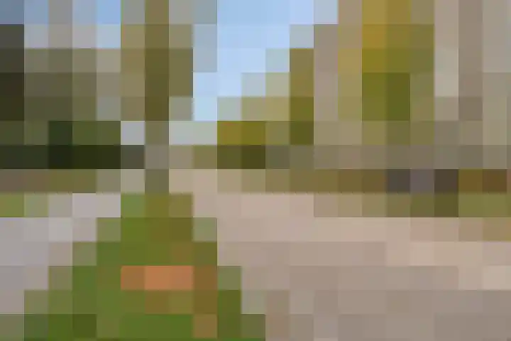 Herman Gorterlaan 279 Eindhoven thumbnail 6
