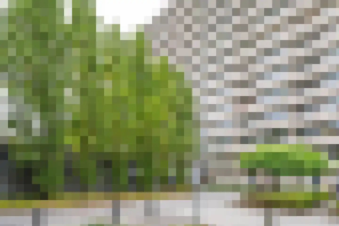 Herman Gorterlaan 281 Eindhoven thumbnail 44