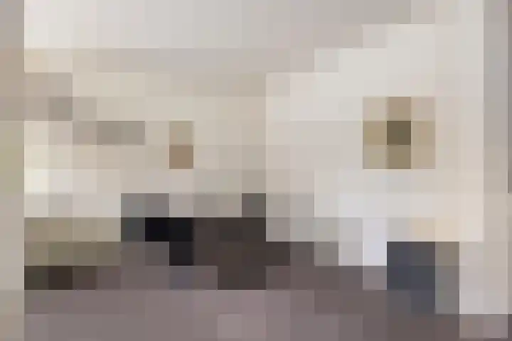 Herman Gorterlaan 29 Eindhoven thumbnail 13