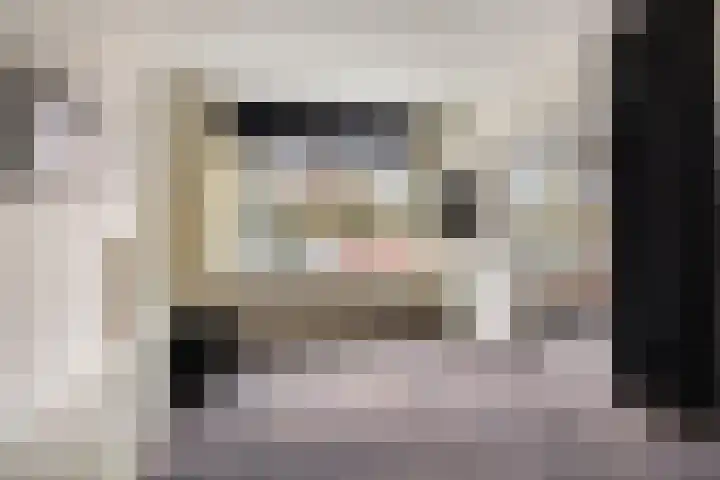 Herman Gorterlaan 29 Eindhoven thumbnail 20