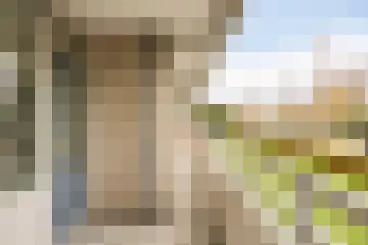 Herman Gorterlaan 29 Eindhoven thumbnail 27