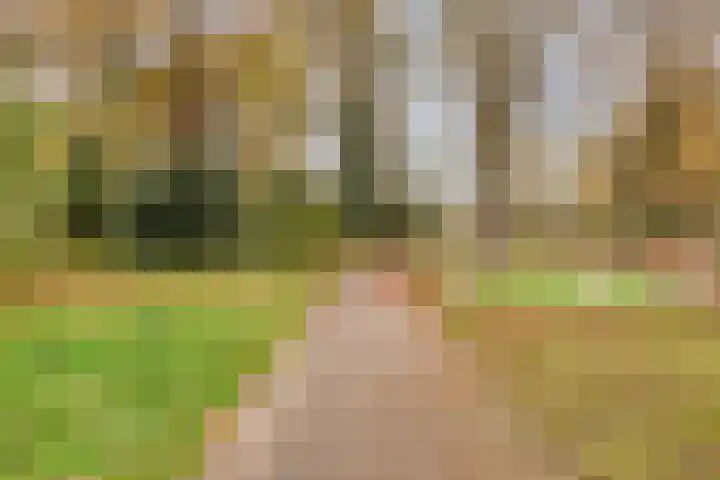Herman Gorterlaan 29 Eindhoven thumbnail 30