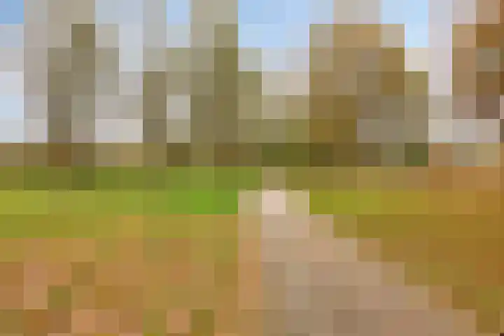 Herman Gorterlaan 29 Eindhoven thumbnail 32