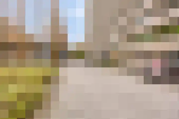 Herman Gorterlaan 29 Eindhoven thumbnail 7