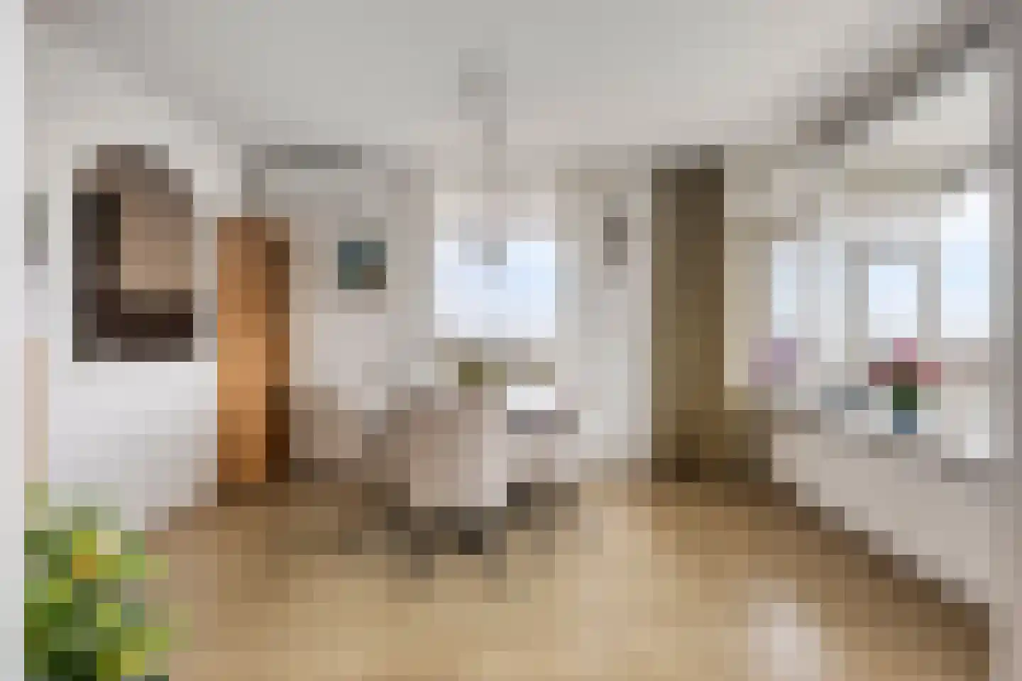 Herman Gorterlaan 317 Eindhoven thumbnail 12