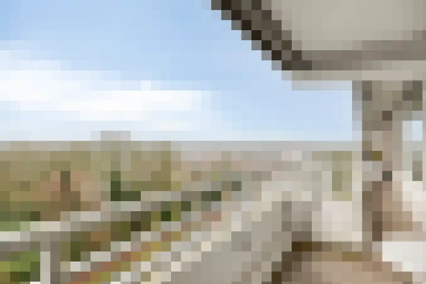 Herman Gorterlaan 317 Eindhoven thumbnail 17