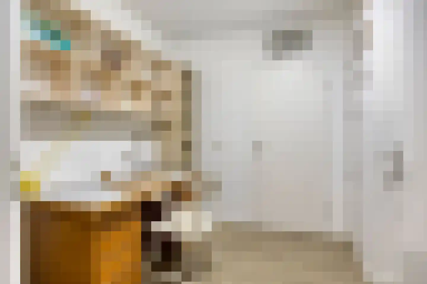 Herman Gorterlaan 317 Eindhoven thumbnail 19