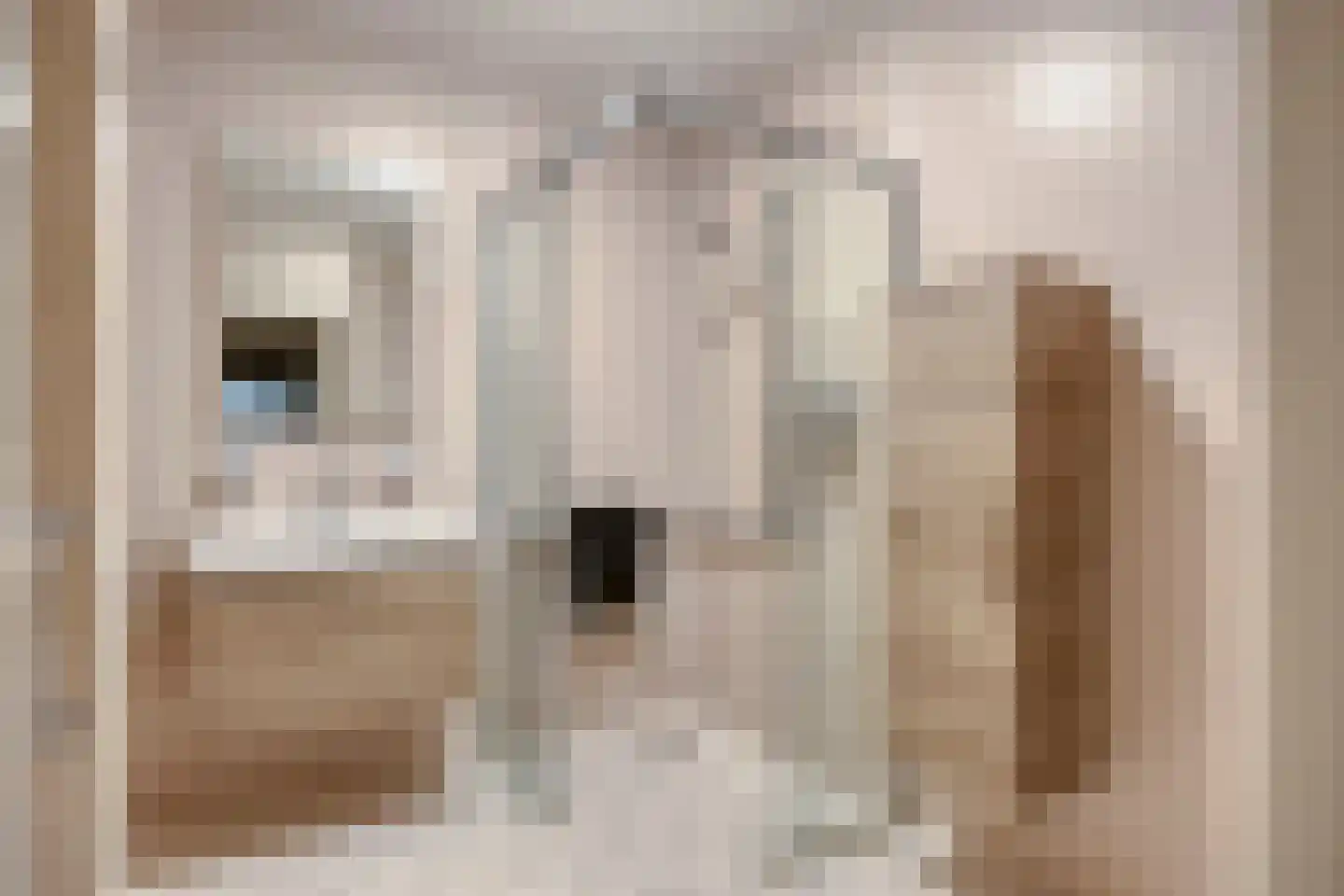 Herman Gorterlaan 317 Eindhoven thumbnail 21