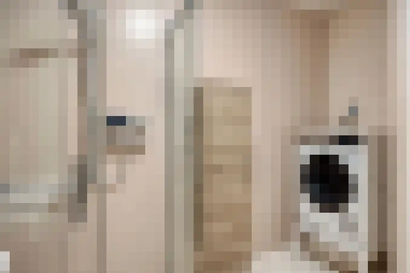 Herman Gorterlaan 317 Eindhoven thumbnail 22