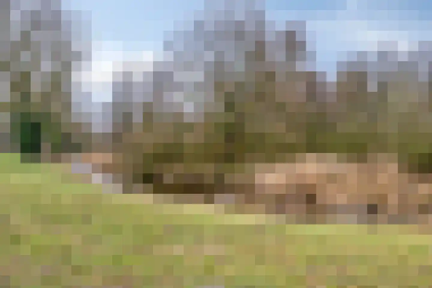 Herman Gorterlaan 317 Eindhoven thumbnail 31