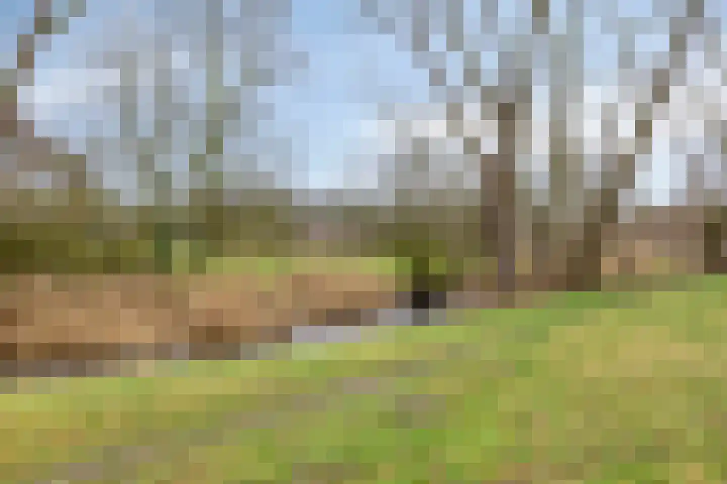 Herman Gorterlaan 317 Eindhoven thumbnail 32