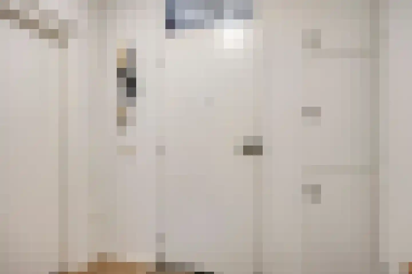 Herman Gorterlaan 317 Eindhoven thumbnail 7