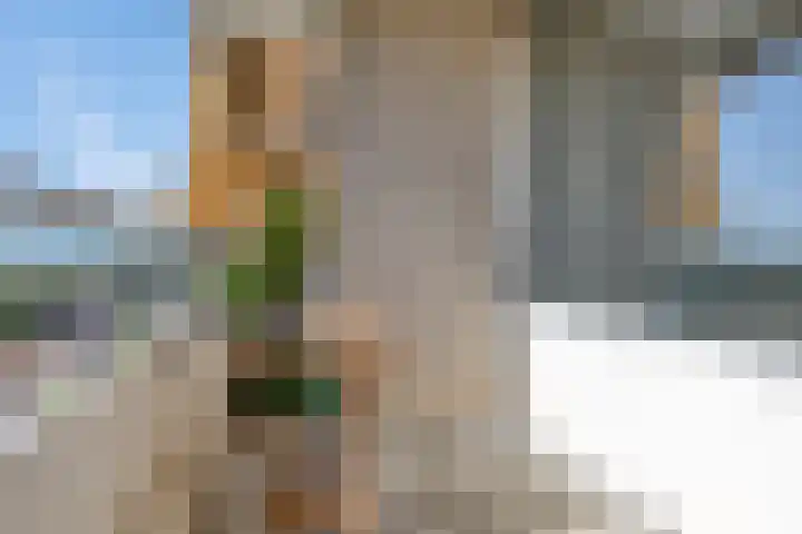 Herman Gorterlaan 379 Eindhoven thumbnail 19