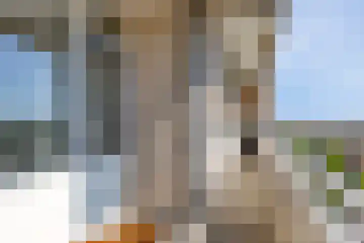 Herman Gorterlaan 379 Eindhoven thumbnail 20
