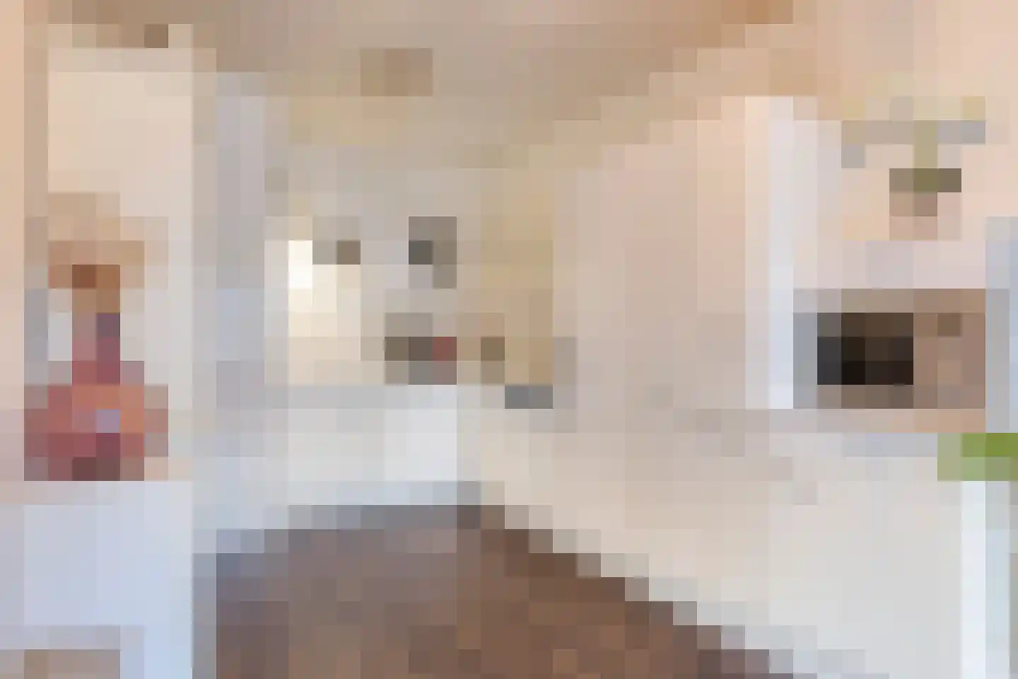 Herman Gorterlaan 39 Eindhoven thumbnail 13