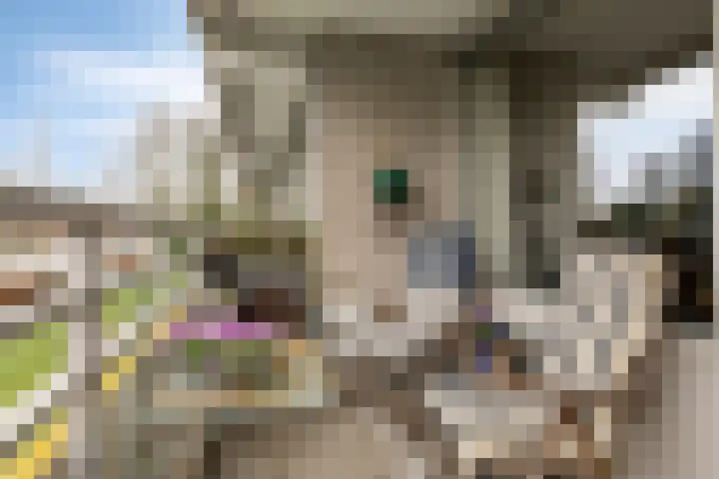 Herman Gorterlaan 39 Eindhoven thumbnail 18
