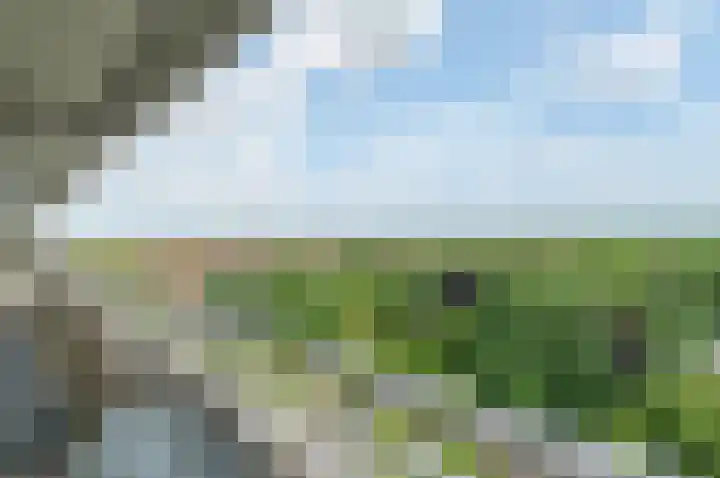 Herman Gorterlaan 403 Eindhoven thumbnail 18