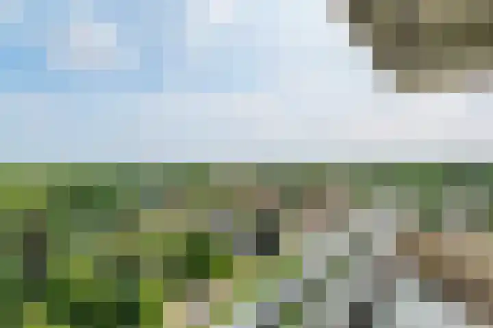 Herman Gorterlaan 403 Eindhoven thumbnail 19