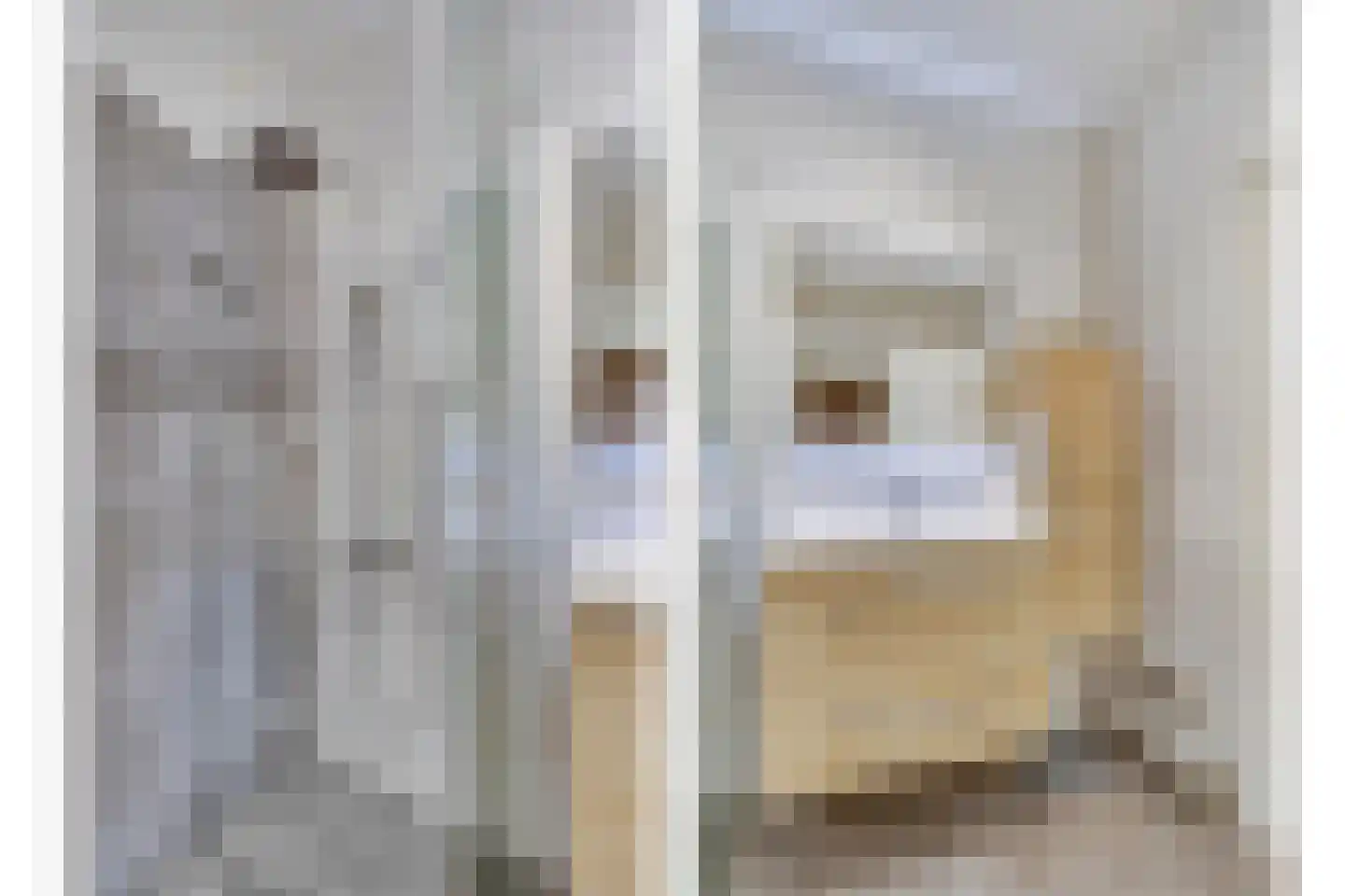 Herman Gorterlaan 57 Eindhoven thumbnail 18