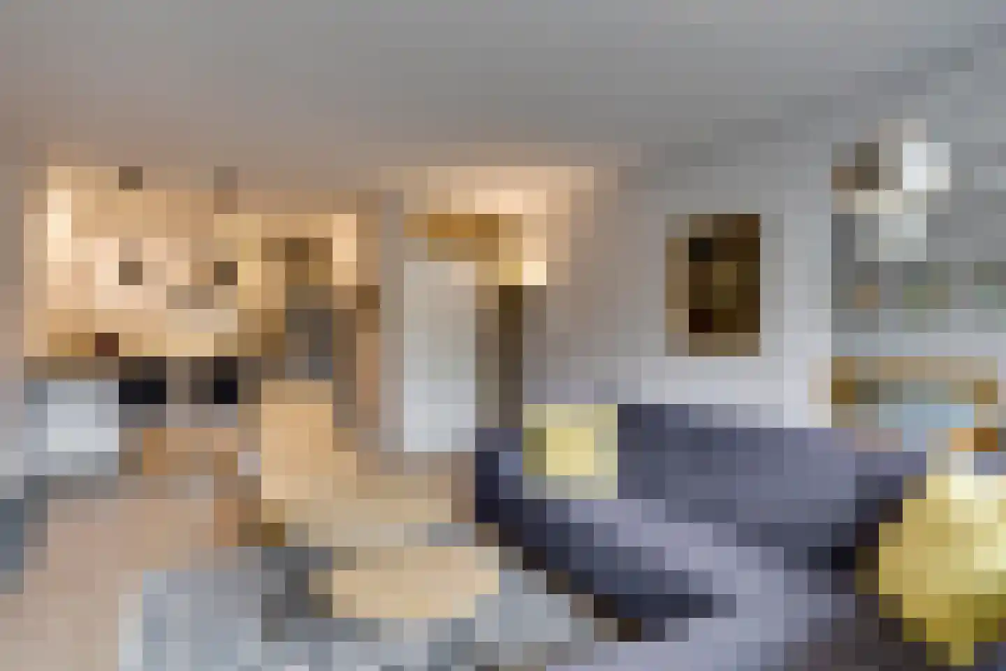 Herman Gorterlaan 57 Eindhoven thumbnail 8