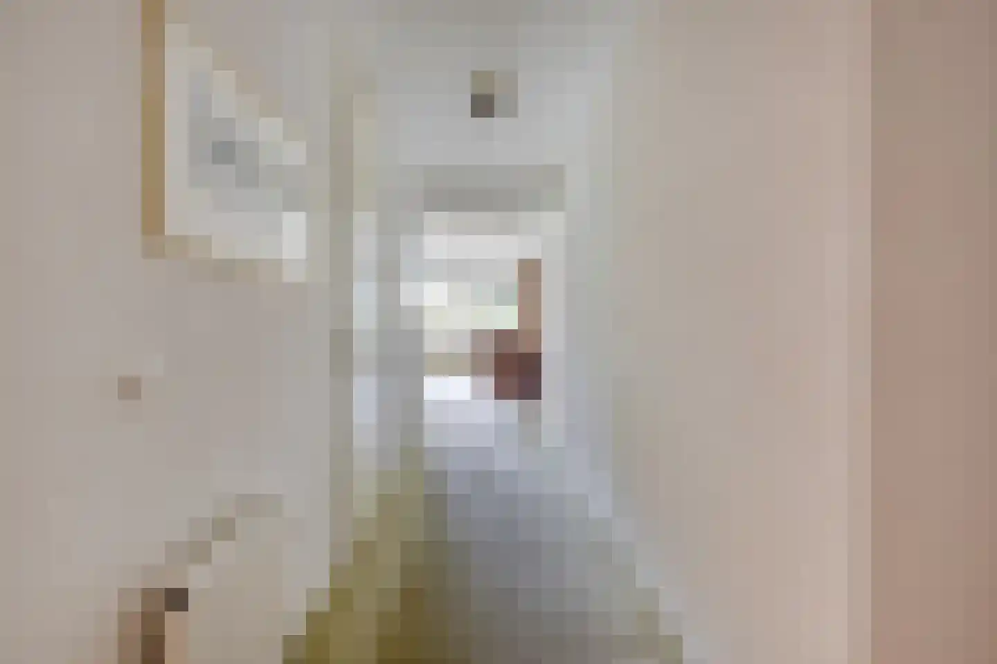Herman Gorterlaan 612 Eindhoven thumbnail 12