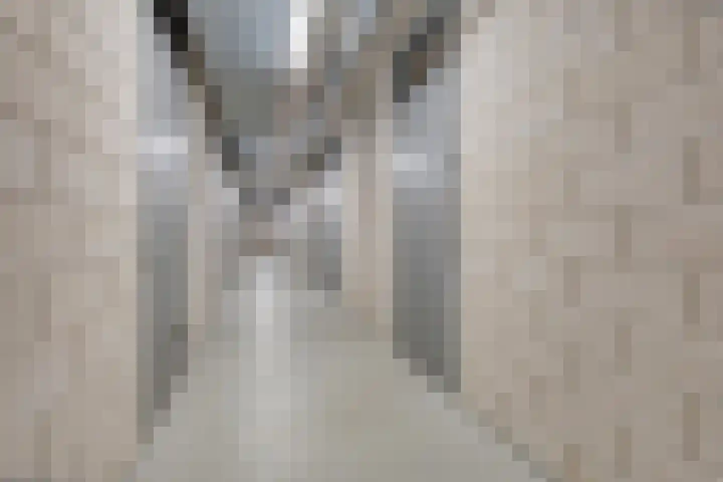 Herman Gorterlaan 612 Eindhoven thumbnail 34