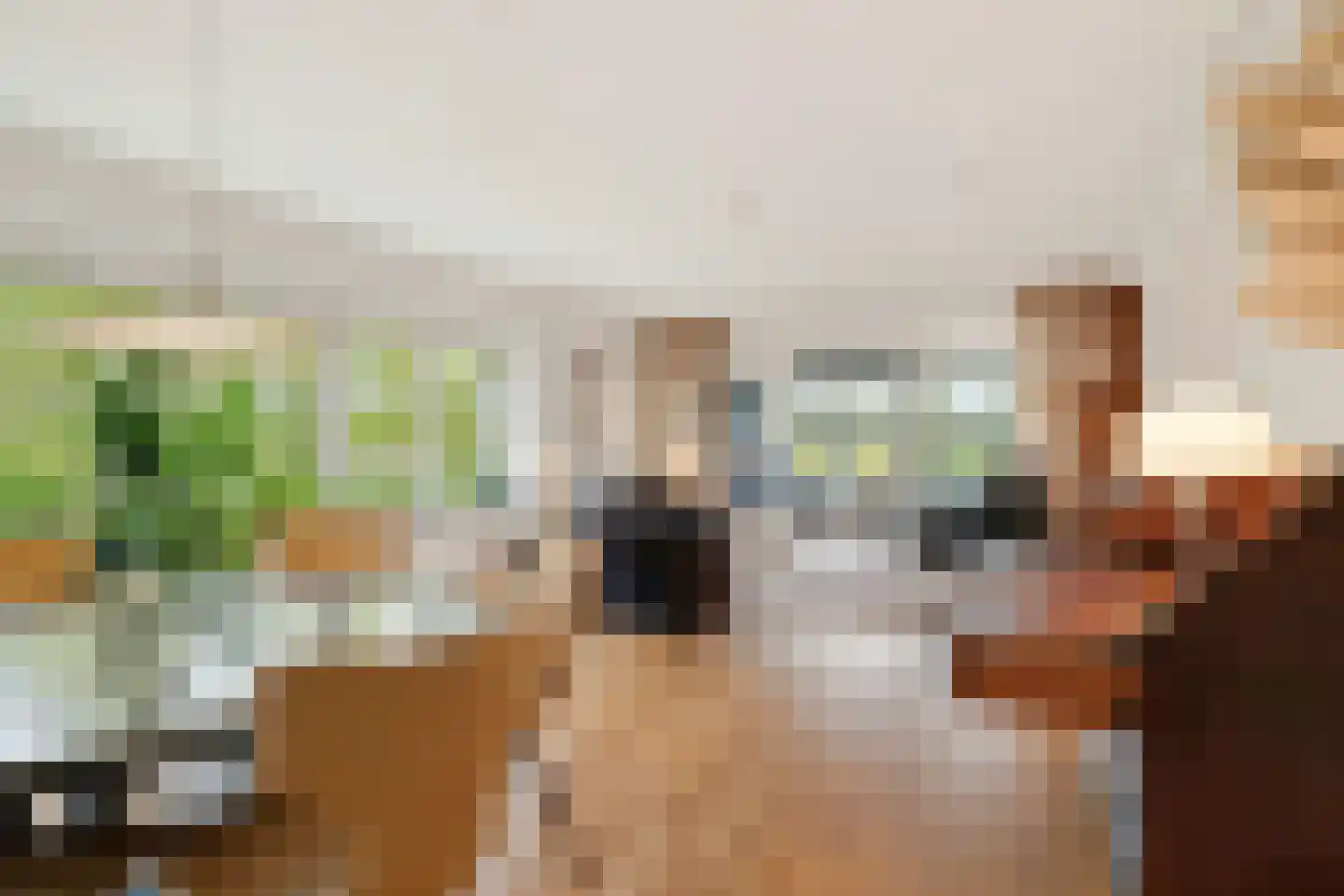 Herman Gorterlaan 616 Eindhoven thumbnail 22