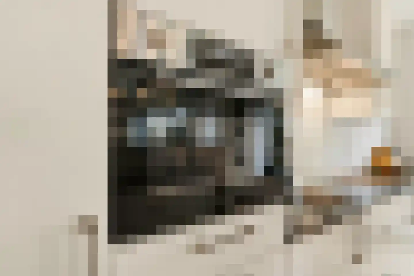 Herman Gorterlaan 616 Eindhoven thumbnail 27