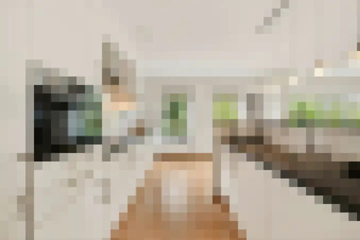 Herman Gorterlaan 616 Eindhoven thumbnail 28